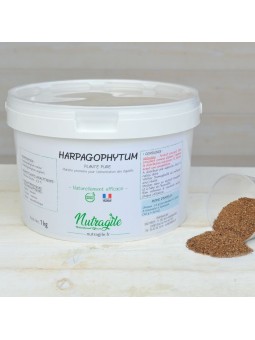 Harpagophytum Poudre