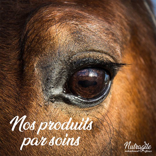 Soins et bien être